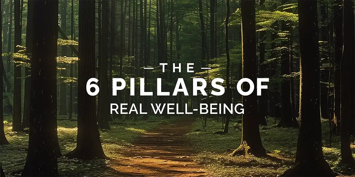 Aura World The Earth Gurgaon